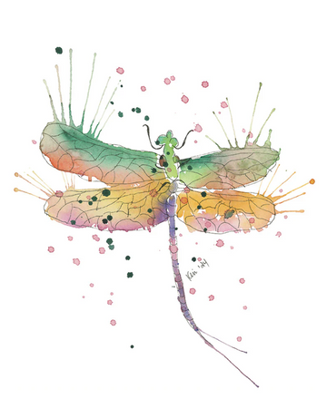 Dragonfly SpringLights "Luminescence" Note Card, Retail Package (SLN-01)