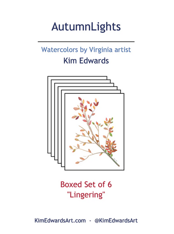 Fall Leaves Autum Boxed Set of 6 Note Cards, "Lingering" (ALN-B01)
