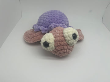Turtle Friend