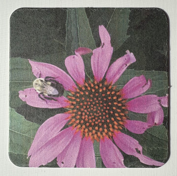 Coasters