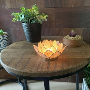 Capiz Sea Shell Votive