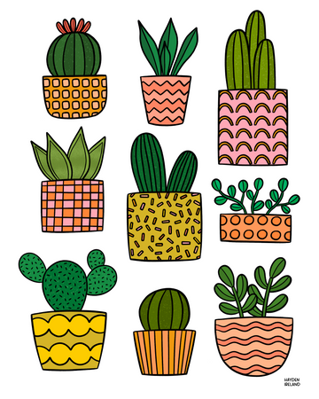 Succulents 8x10