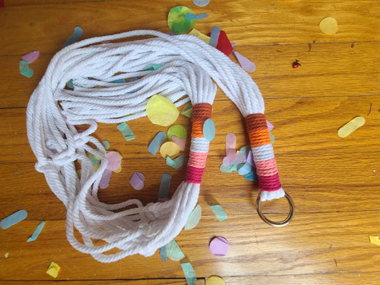 Anxious Art Teacher Pride Plant Hanger