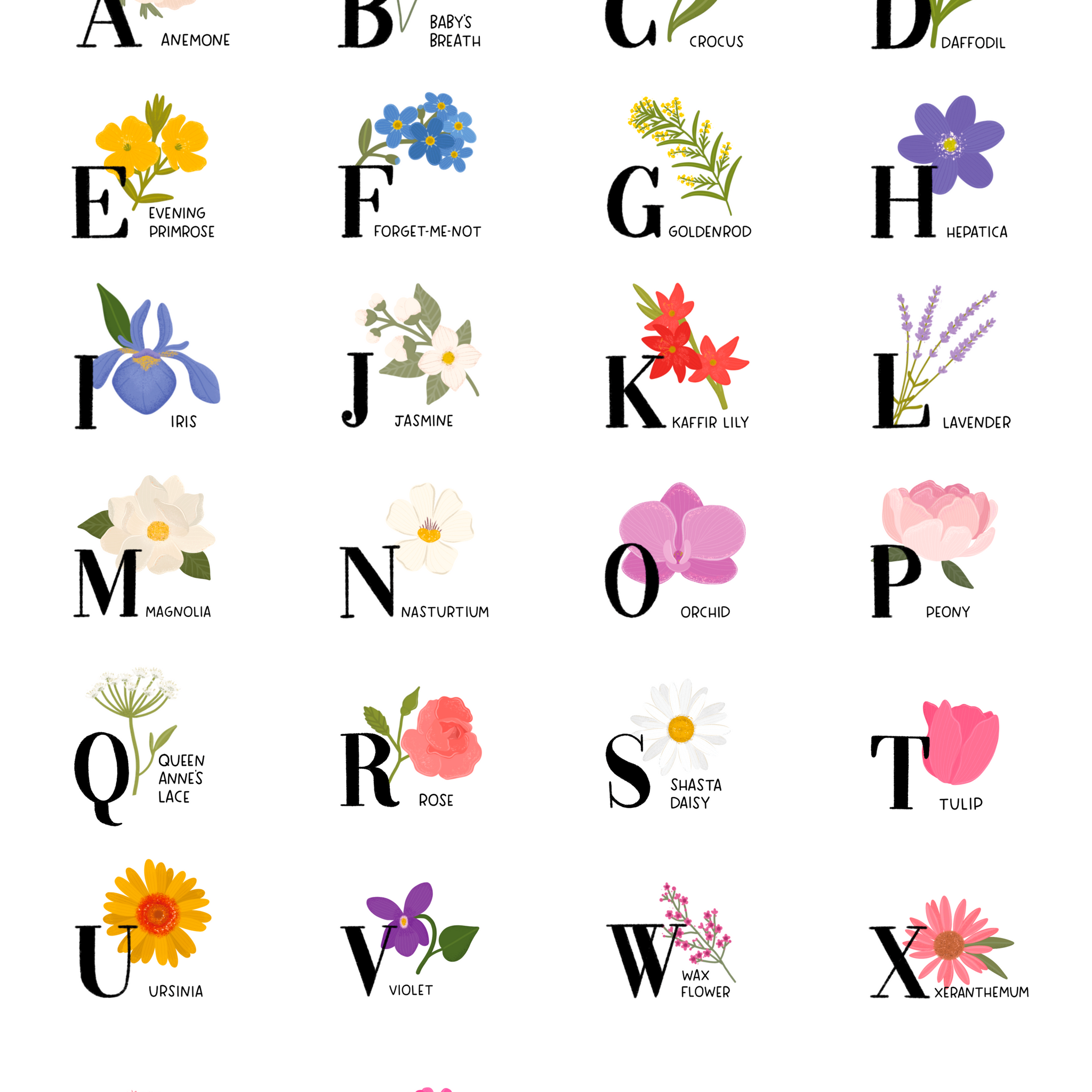 Floral Alphabet 11x14