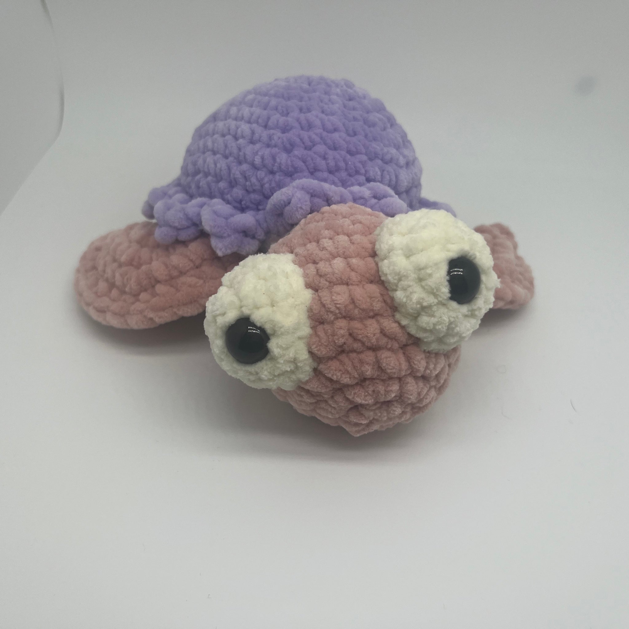 Turtle Friend