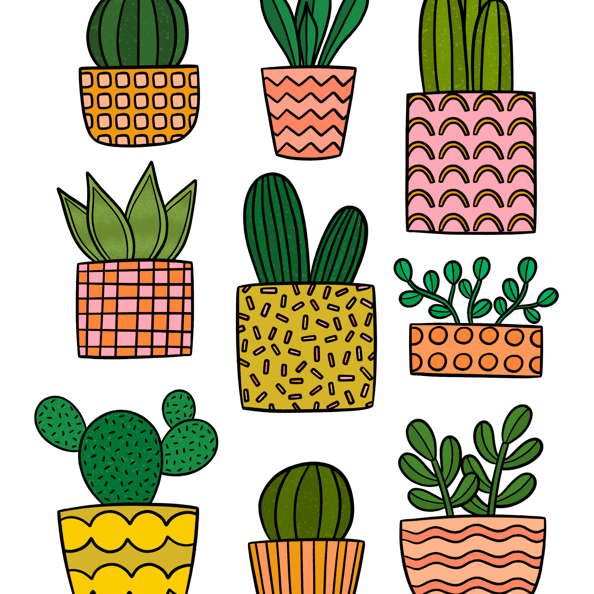 Succulents 8x10