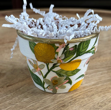 Decoupaged Small Terracotta Pot - Lemons