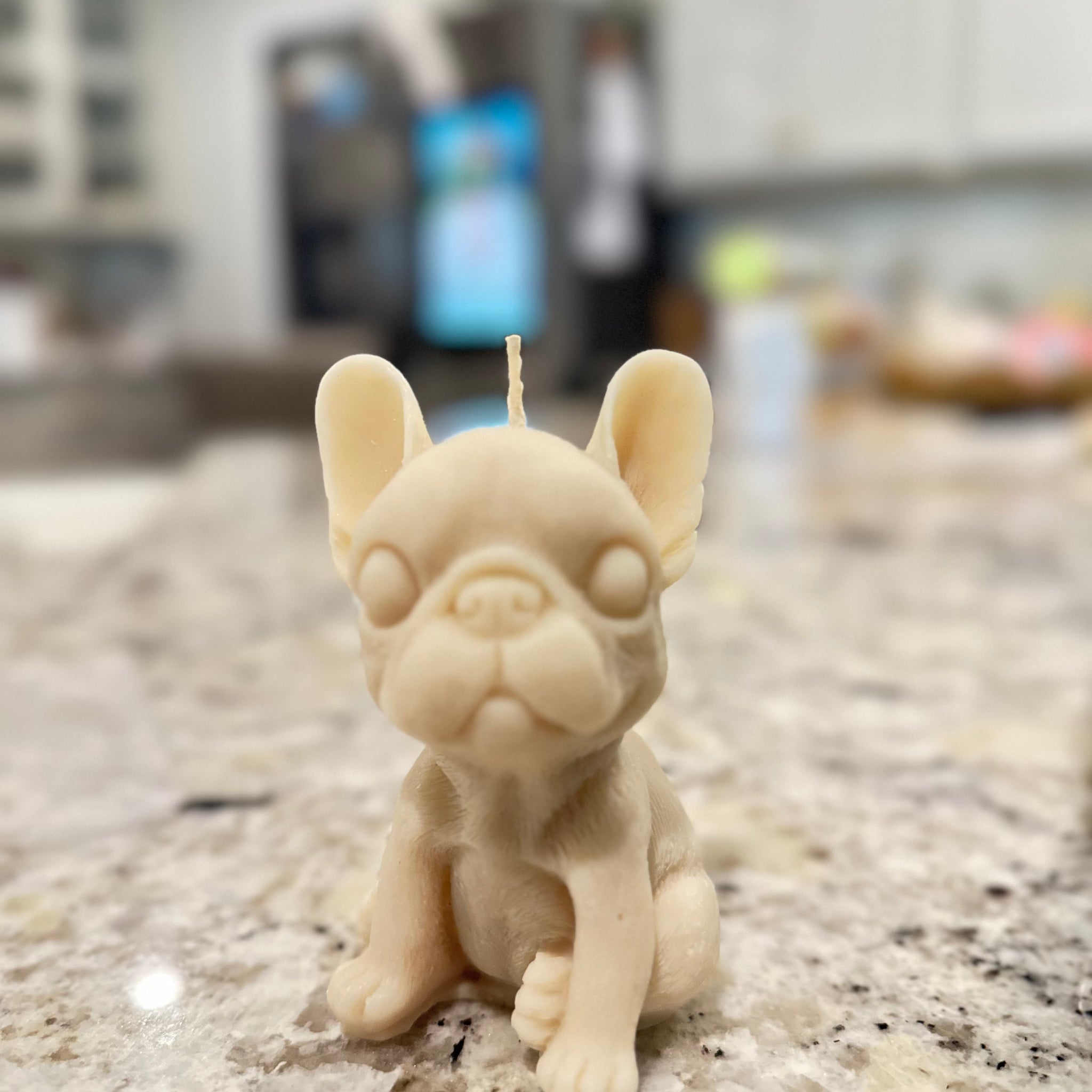 Frenchie candle