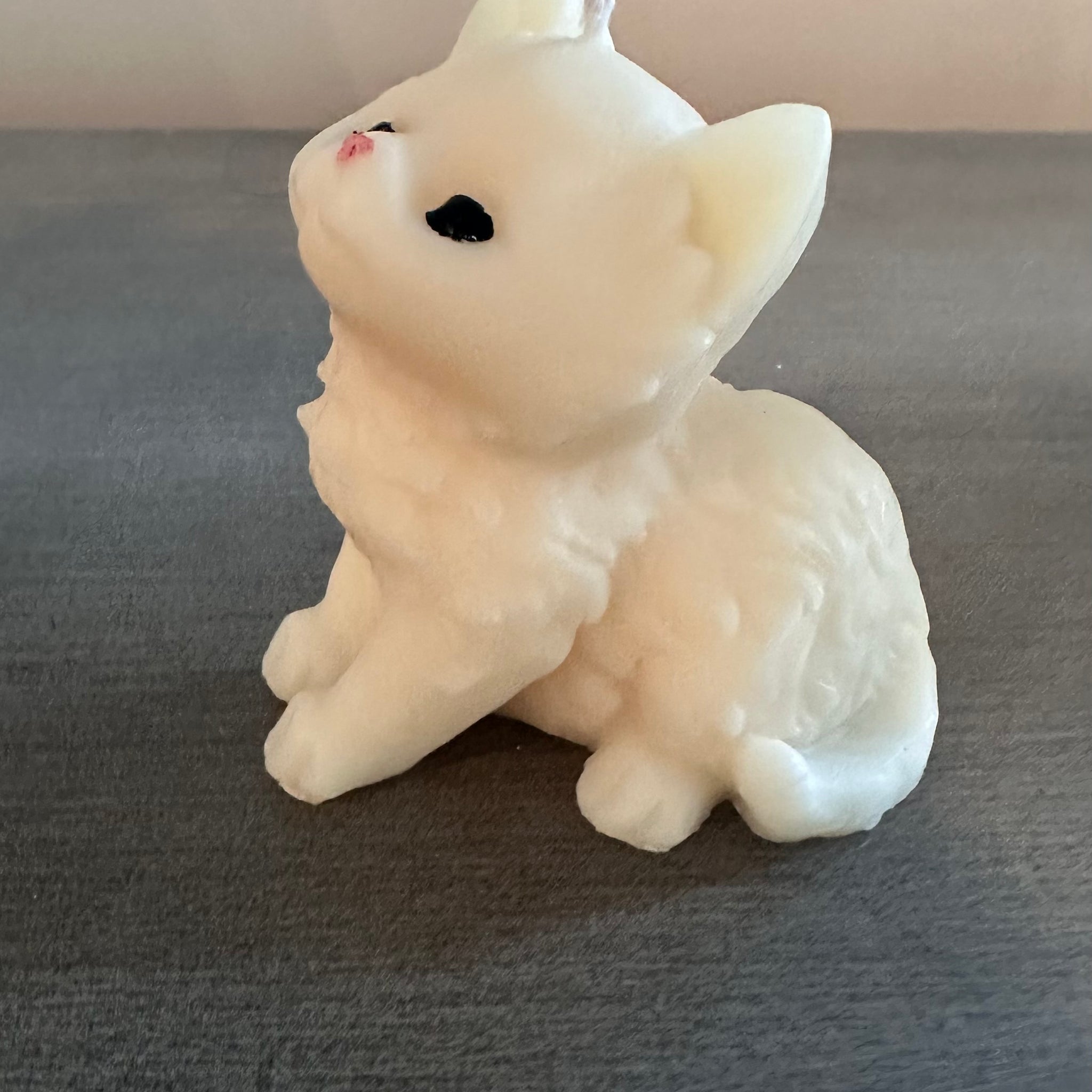 Kitty cat candle