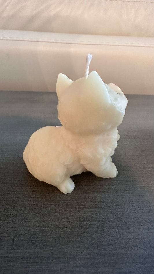 Kitty cat candle