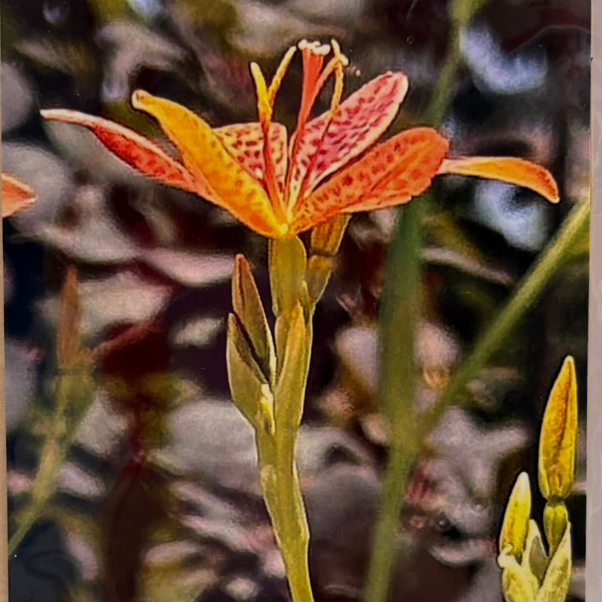 Photo Magnets size 4" x 6"