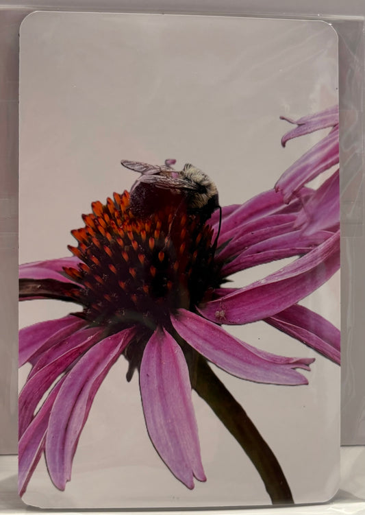 Photo Magnets size 4" x 6"