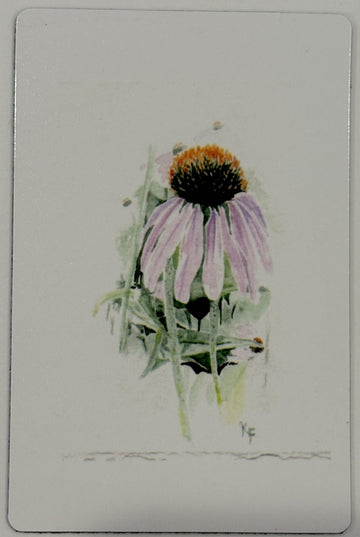 Photo Magnets Size 2" x 3"