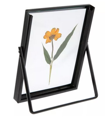 Orange Bloom Pressed Flower Glass Frame