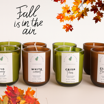 Fall Candle Collection by Royal Tea Candle